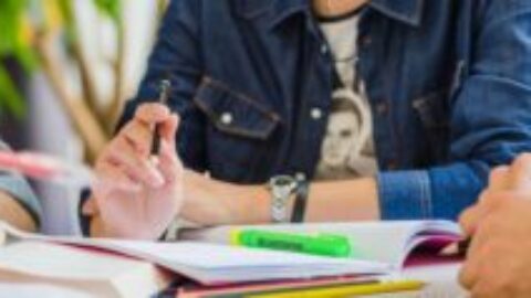 Becas en Holanda 2024: Guía Completa de Ayudas para Estudiantes